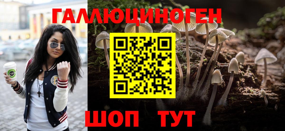 Псилоцибиновые грибы ЛСД  Вход с VPN  Псилоцибиновые грибы Cubensis  как найти наркотики  Скопин 